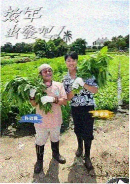 荒野厨房综艺海报